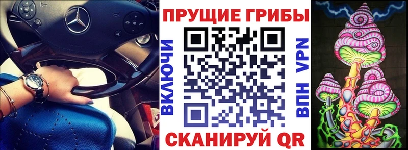 Галлюциногенные грибы мицелий  Купить закладки  Ершов 